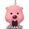 APAAN NI