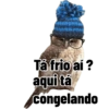 Mais que friagem  6