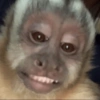 Moods de Changuitos! 🐒 16