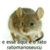 Memes diversos  7