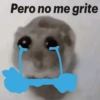 Pero no me grite
