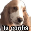 Tu confia