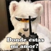 🧿 Para tu chat usalos😎😋 25