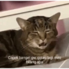 Capek banget gw, gatau lagi mau bilang apa