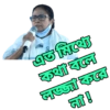 এত মিথ্যে কথা বলে লজ্জা করে না !
