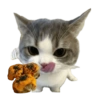 Cat meme makanan 🐈 10