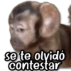se te olvidó contestar