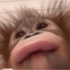 Lengua borrosa