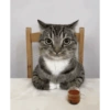 GATINHOS 8