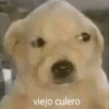 viejo culero