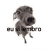 Memes diversos  11