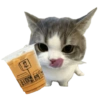Cat meme makanan 🐈 8