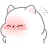 Kucing gemoy 12