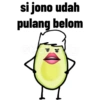 Petir 11