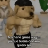 Untal Diego A echarle ganas al gym porque buena onda no quiero ser