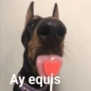 Ay equis