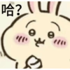 Usagi 18