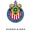 Liga Mexicana MX 14