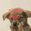 dolio.