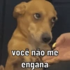 você não me engana