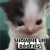 Hehe 21