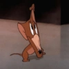 🧿Jerry 🐁🐭 23