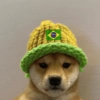 Animais Torcedores Brasil 🇧🇷 18