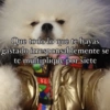 Que todo lo que te hayas gastado irresponsablemente se te multiplique por siete
