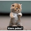 kiere pelea?
