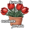 Tulipanes para toda ocasión 🌷 27