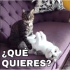 ¿QUÉ QUIERES?