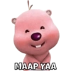 MAAP YAA