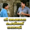 Malayalam Memes 9