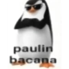 Pinguins de madagascar🐧 15