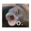 Meme ikan 5