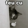 15 FIGURINHAS TOP 12