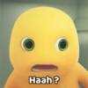 Haah?