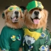 Animais Torcedores Brasil 🇧🇷 16