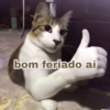 Novos shitpost atualizado 6