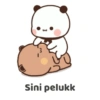 Gemoy lucu 7