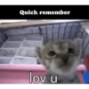 Hehe 9