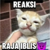 Kucing sigma trend 16