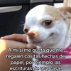 A mí sí me gusta que me regalen cositas hechas de papel, por ejemplo las escrituras de una casa.