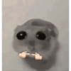 Tu gran hamsters  8