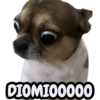 STICKERS PERROS SIN CONTEXTO🐶 8