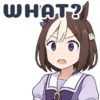 WHAT?