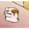 Meme random kocak 5