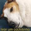 tirar um cochilinho