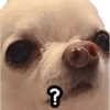 STICKERS PERROS SIN CONTEXTO🐶 11
