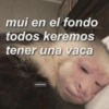 mui en el fondo
todos keremos
tener una vaca
parenlavicaa
lavidaa